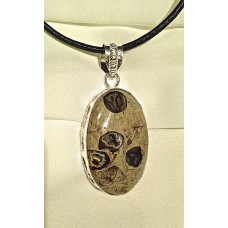 423 Collier agate turritelle, argent sterling